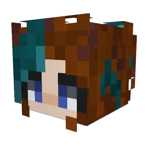 Evelynwitch Minecraft avatar head, 3D render