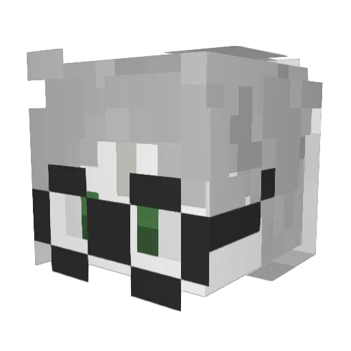 Evem25 Minecraft avatar head, 3D render