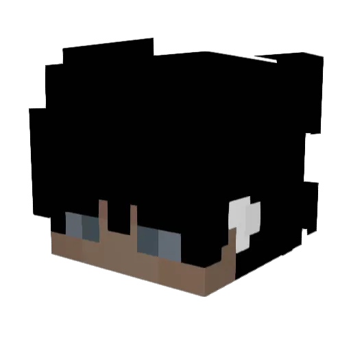 EvenAlloy248261 Minecraft avatar head, 3D render