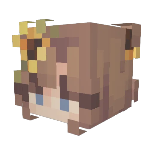 EvenBarstad Minecraft avatar head, 3D render