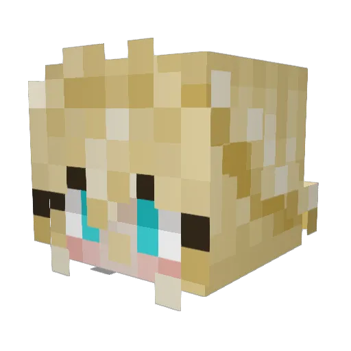 EverGarden123 Minecraft avatar head, 3D render