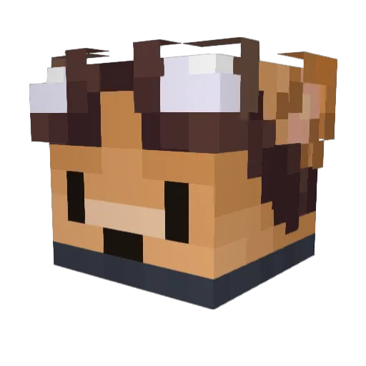 Ever_18 Minecraft avatar head, 3D render