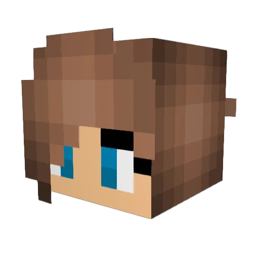 Everdeen_11 Minecraft avatar head, 3D render