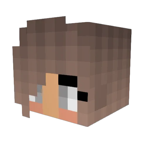 EverestMaleigh Minecraft avatar head, 3D render