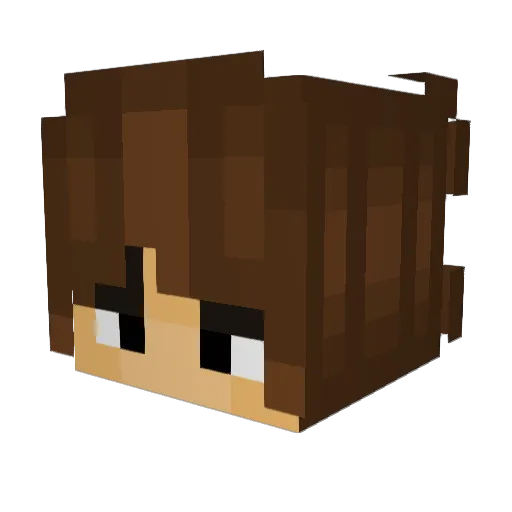 Evergierd Minecraft avatar head, 3D render