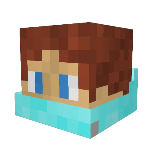 Evergreen1981 Minecraft avatar head, 3D render