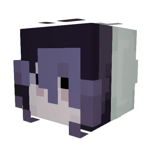 EvergreenSong Minecraft avatar head, 3D render