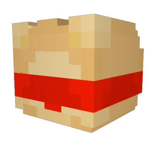 Everlaster1 Minecraft avatar head, 3D render