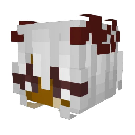 EverlyMC Minecraft avatar head, 3D render
