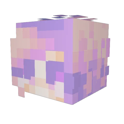 Evermay Minecraft avatar head, 3D render