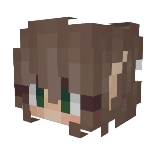 Evernight1127 Minecraft avatar head, 3D render