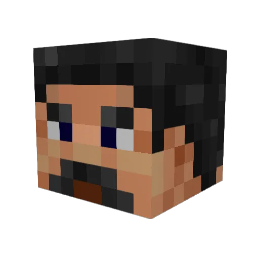 Evers420 Minecraft avatar head, 3D render
