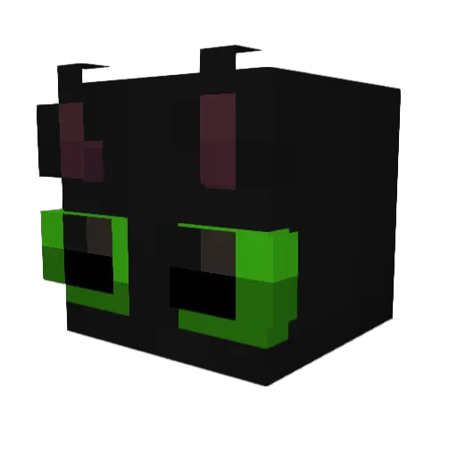 Everton1209 Minecraft avatar head, 3D render