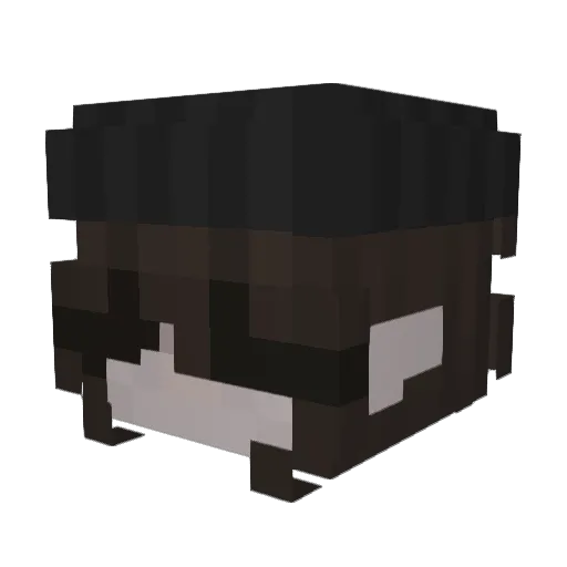 EveryStorm22 Minecraft avatar head, 3D render