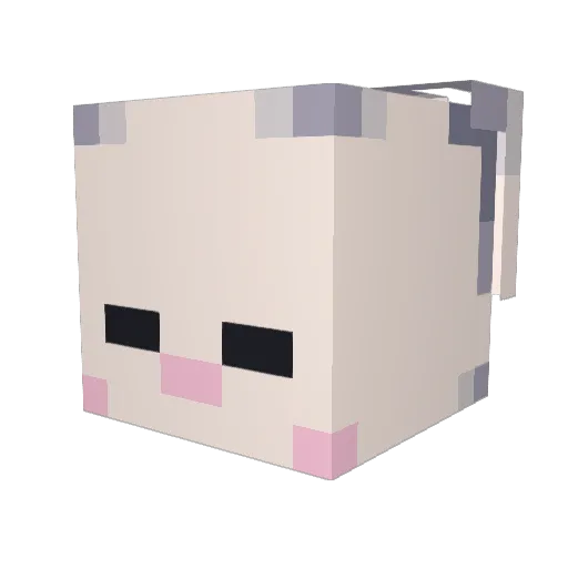 EveryTerm Minecraft avatar head, 3D render