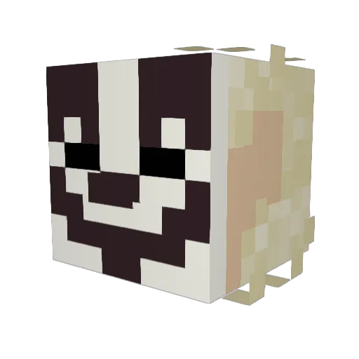 Everybodys_Fool Minecraft avatar head, 3D render