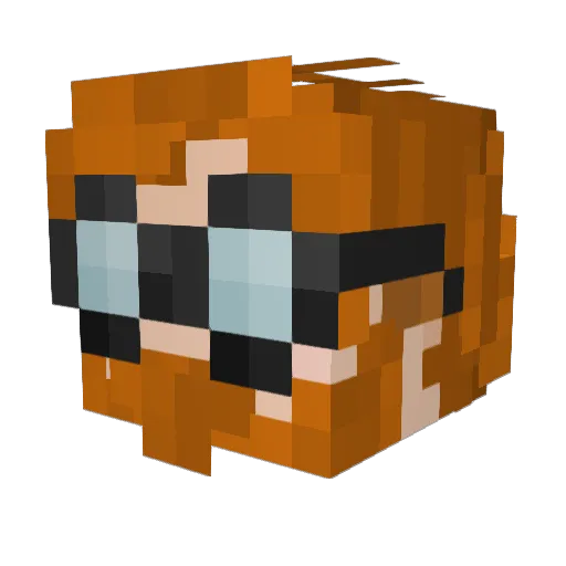 Everyday_Gamer22 Minecraft avatar head, 3D render
