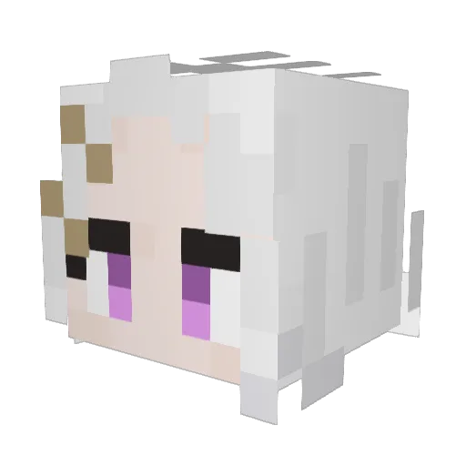 Everydaymemer Minecraft avatar head, 3D render