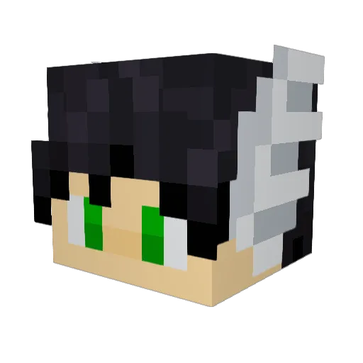 Everygreen_ Minecraft avatar head, 3D render