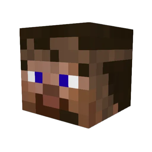 Everyman2608 Minecraft avatar head, 3D render