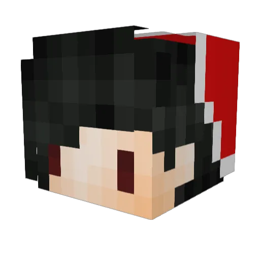 Everyone Minecraft avatar head, 3D render
