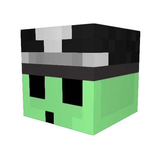 EveryoneIsGay Minecraft avatar head, 3D render