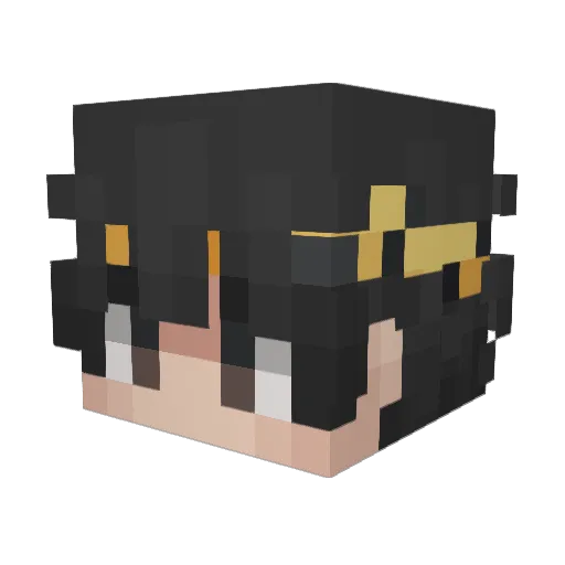 Everyoneisyours Minecraft avatar head, 3D render