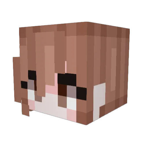 Evi2222 Minecraft avatar head, 3D render