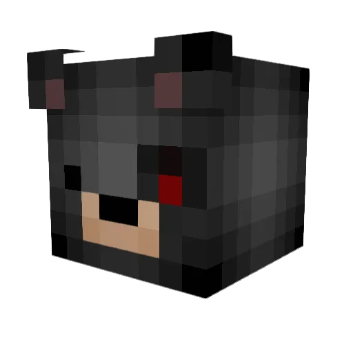 EviLBear13 Minecraft avatar head, 3D render