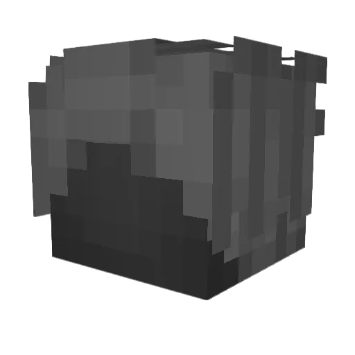 Evidency Minecraft avatar head, 3D render