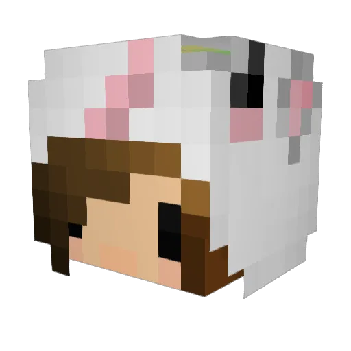 Evidenijs Minecraft avatar head, 3D render