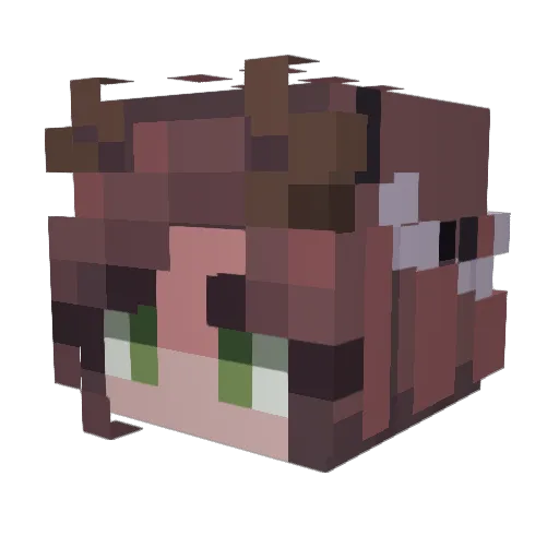 Evie0926 Minecraft avatar head, 3D render