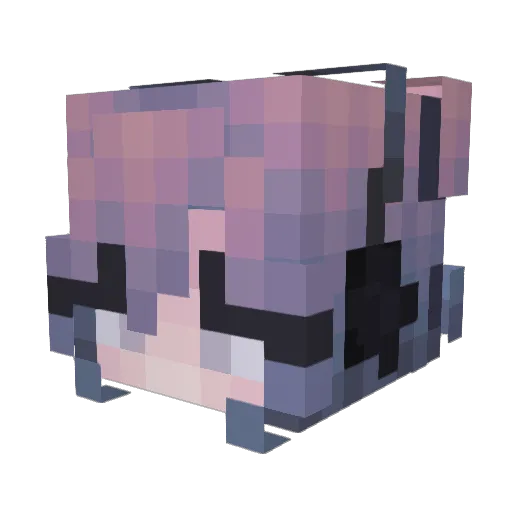 EvieDaRebel Minecraft avatar head, 3D render