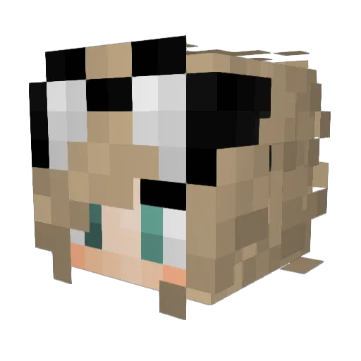 EvieDoll Minecraft avatar head, 3D render