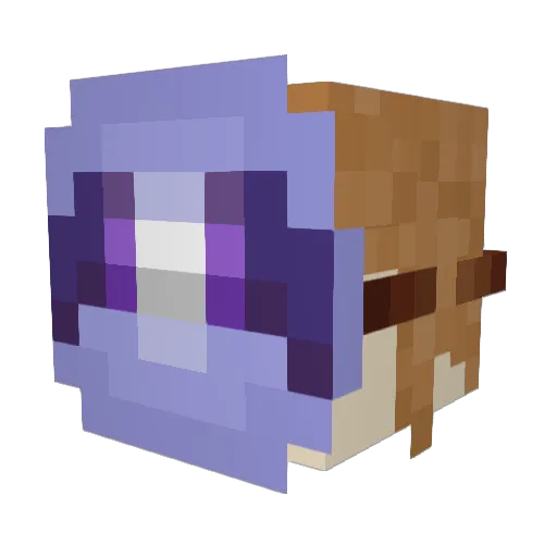 EvieRoo Minecraft avatar head, 3D render