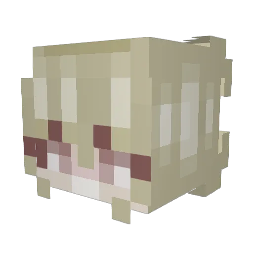 Eviebenn Minecraft avatar head, 3D render