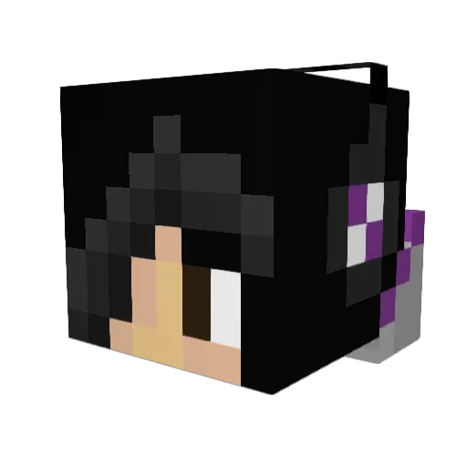 Eviebug0502 Minecraft avatar head, 3D render