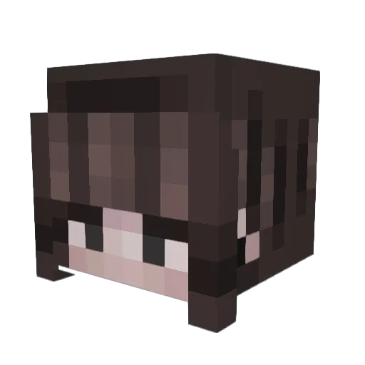 Eviezxi Minecraft avatar head, 3D render
