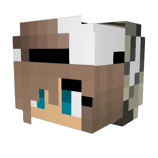 EvilAssasin Minecraft avatar head, 3D render