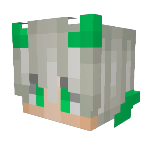 EvilBob99 Minecraft avatar head, 3D render