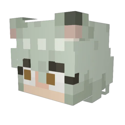 EvilCar97Menal Minecraft avatar head, 3D render