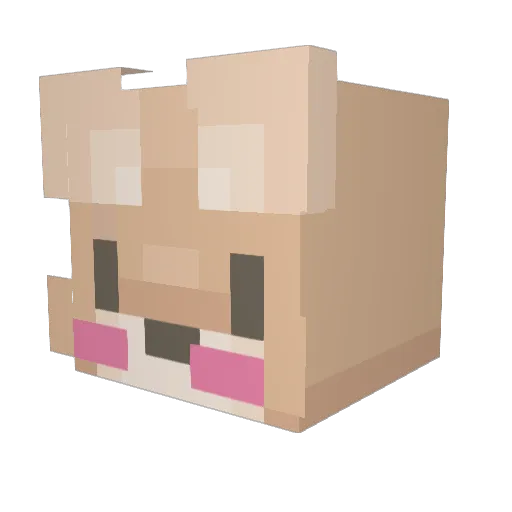 EvilChewie32 Minecraft avatar head, 3D render