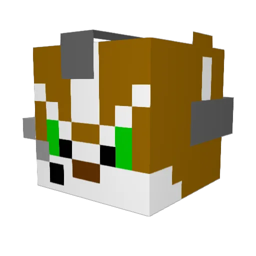 EvilDanger Minecraft avatar head, 3D render
