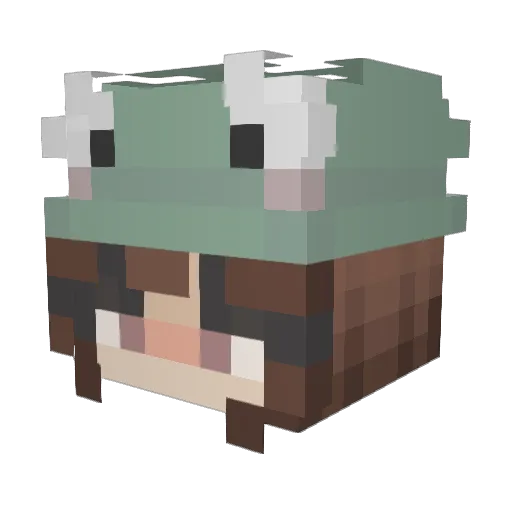 EvilDuck4202002 Minecraft avatar head, 3D render