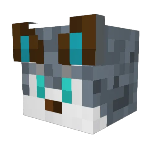 EvilDuckie101 Minecraft avatar head, 3D render
