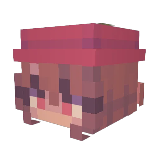 EvilEve14 Minecraft avatar head, 3D render