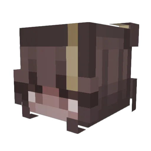 EvilFarmer1 Minecraft avatar head, 3D render
