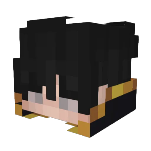 EvilGoose01 Minecraft avatar head, 3D render