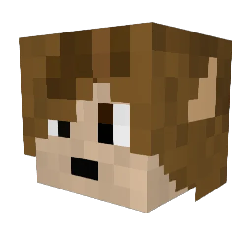 EvilHayden25 Minecraft avatar head, 3D render