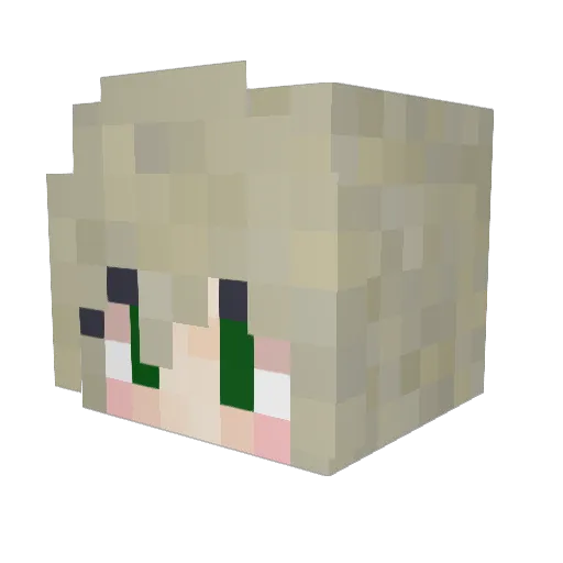 EvilHomer0815 Minecraft avatar head, 3D render